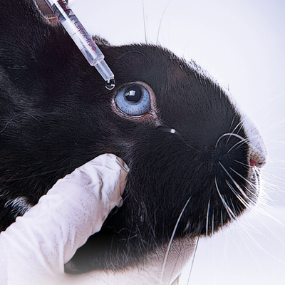 Cosmetics without animal testing: we want europe to be cruelty free! 